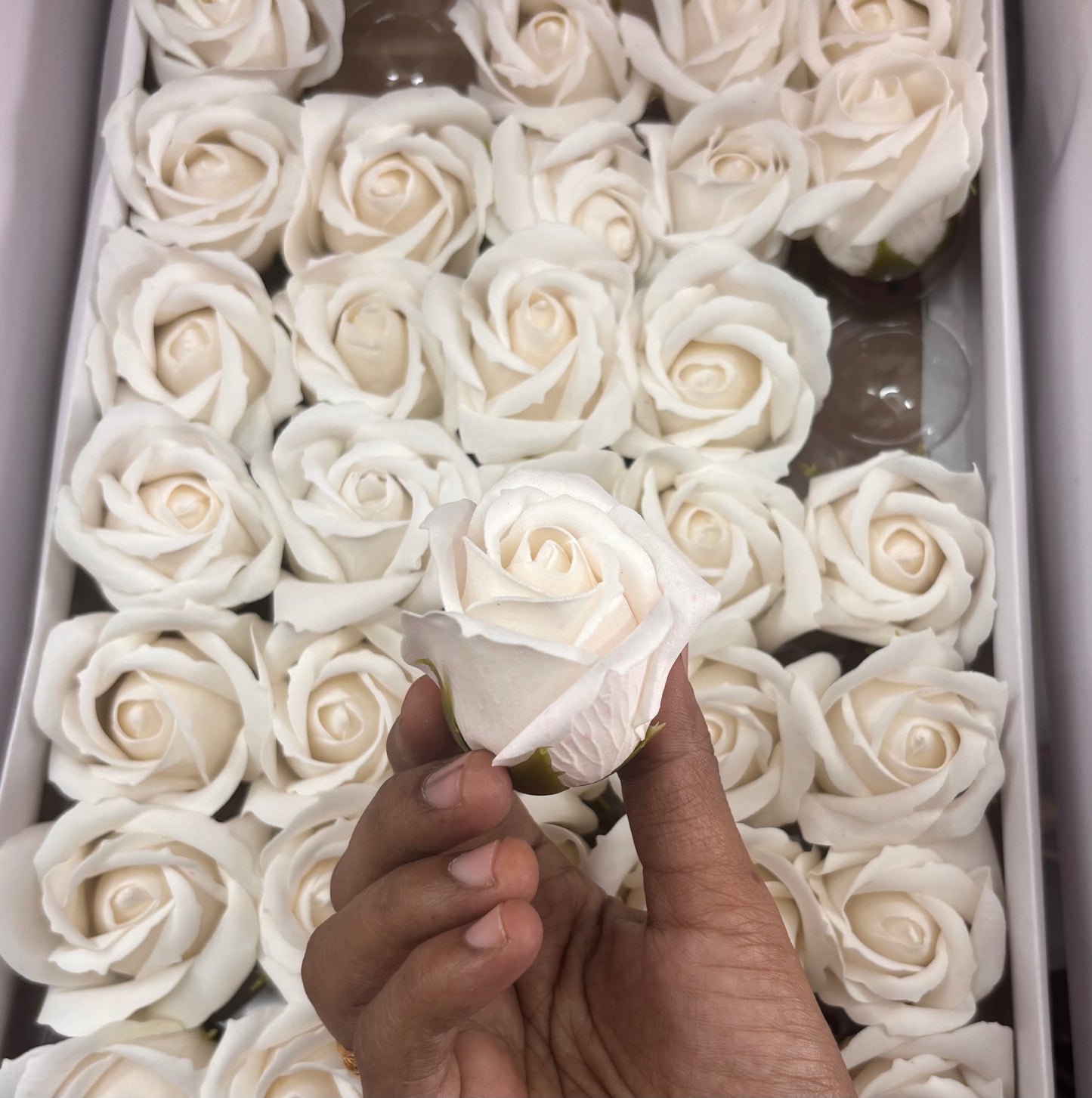 Rose (Single Pcs) White - R01