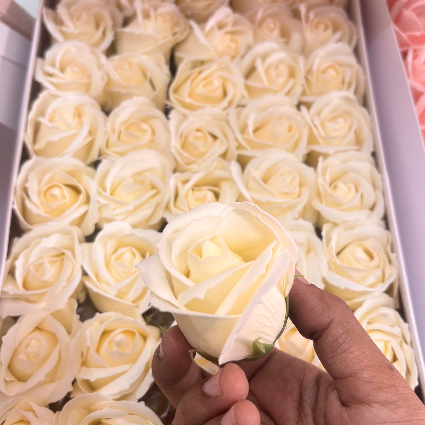 Rose (Single Pcs) Half White - R02