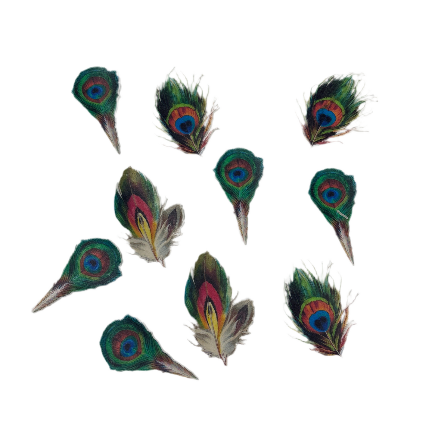 Edible Peacock Feather Topper EB23