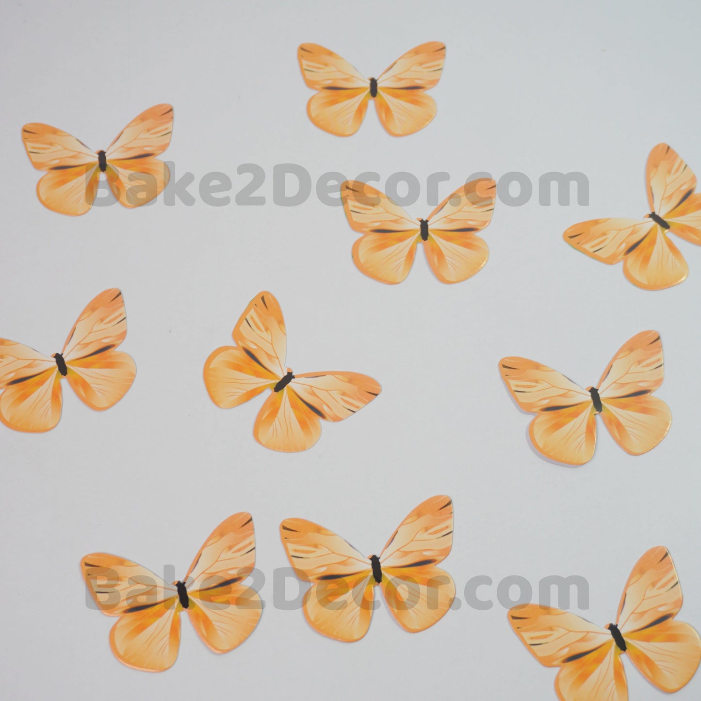 Paper Butterfly ( 10 Pcs Set)- NSPB09