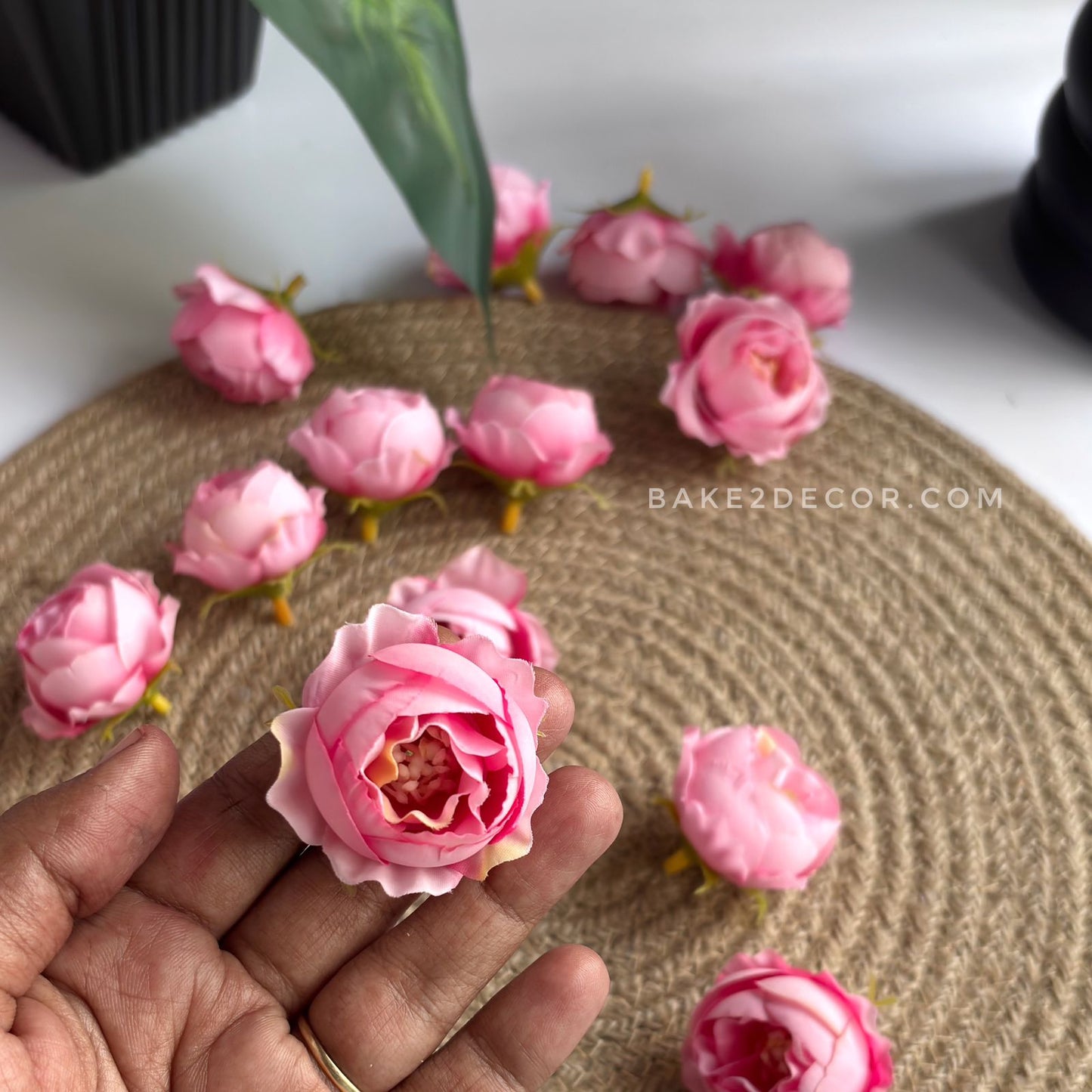 Peony - Single Pcs - PEO-08