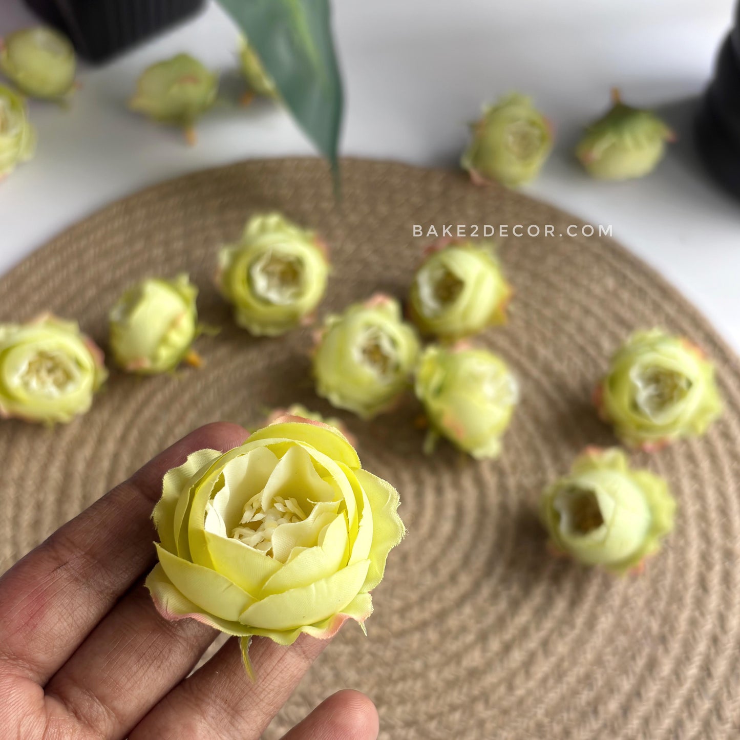 Peony - Single Pcs - PEO-09