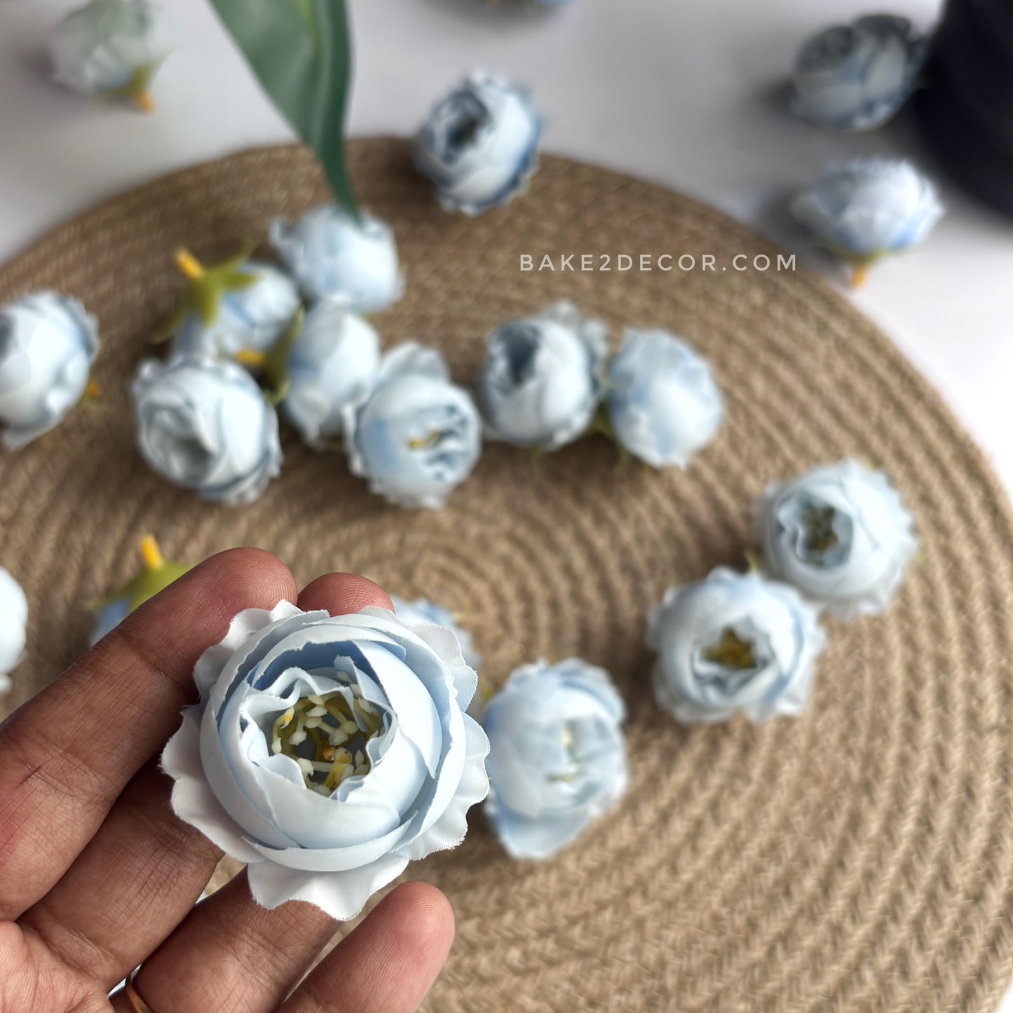 Peony - Single Pcs - PEO-10