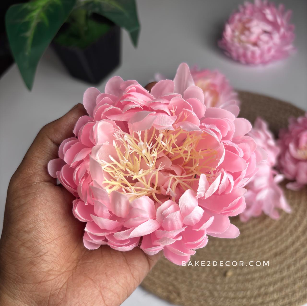 Daicy Flower - Single Pcs - DA01