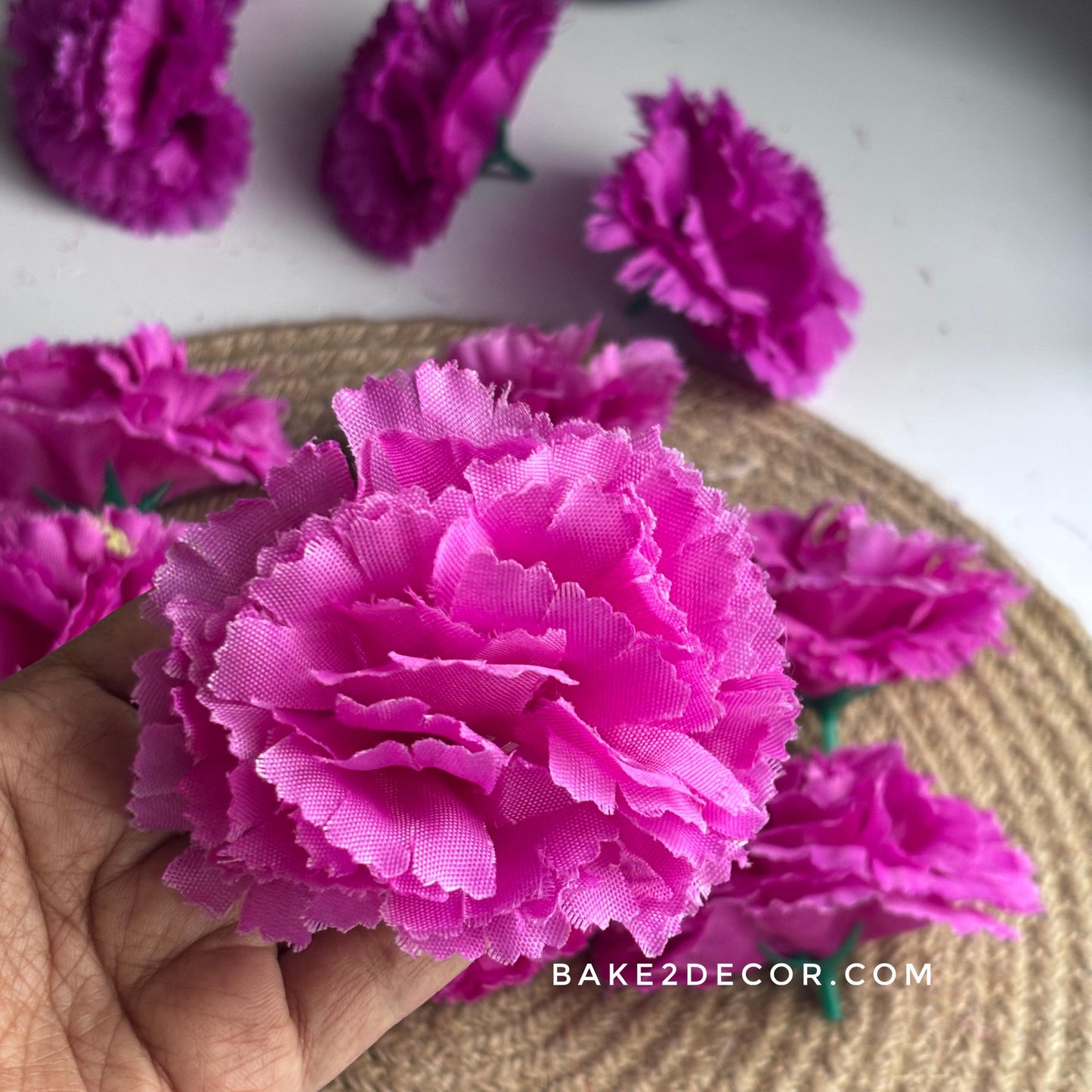 AF8 Carnation - Purple