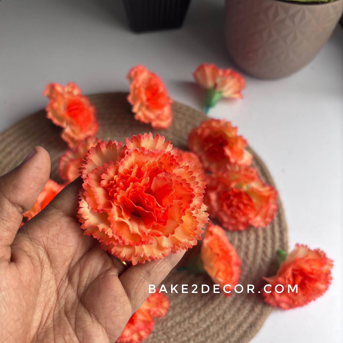 AF9 Carnation - Orange