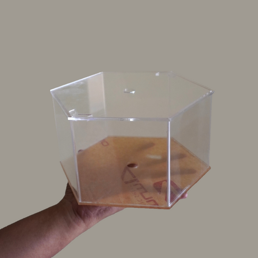 8 Inch Acrylic Spacer hexagon