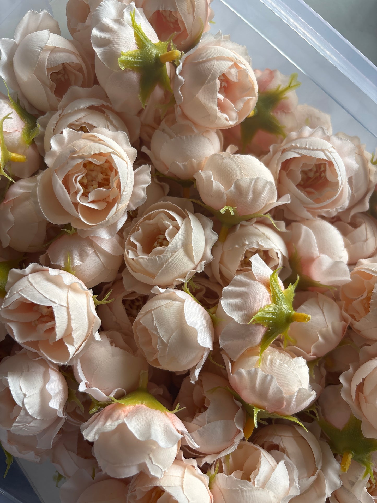 Peony  - Single Pcs - PEO-12