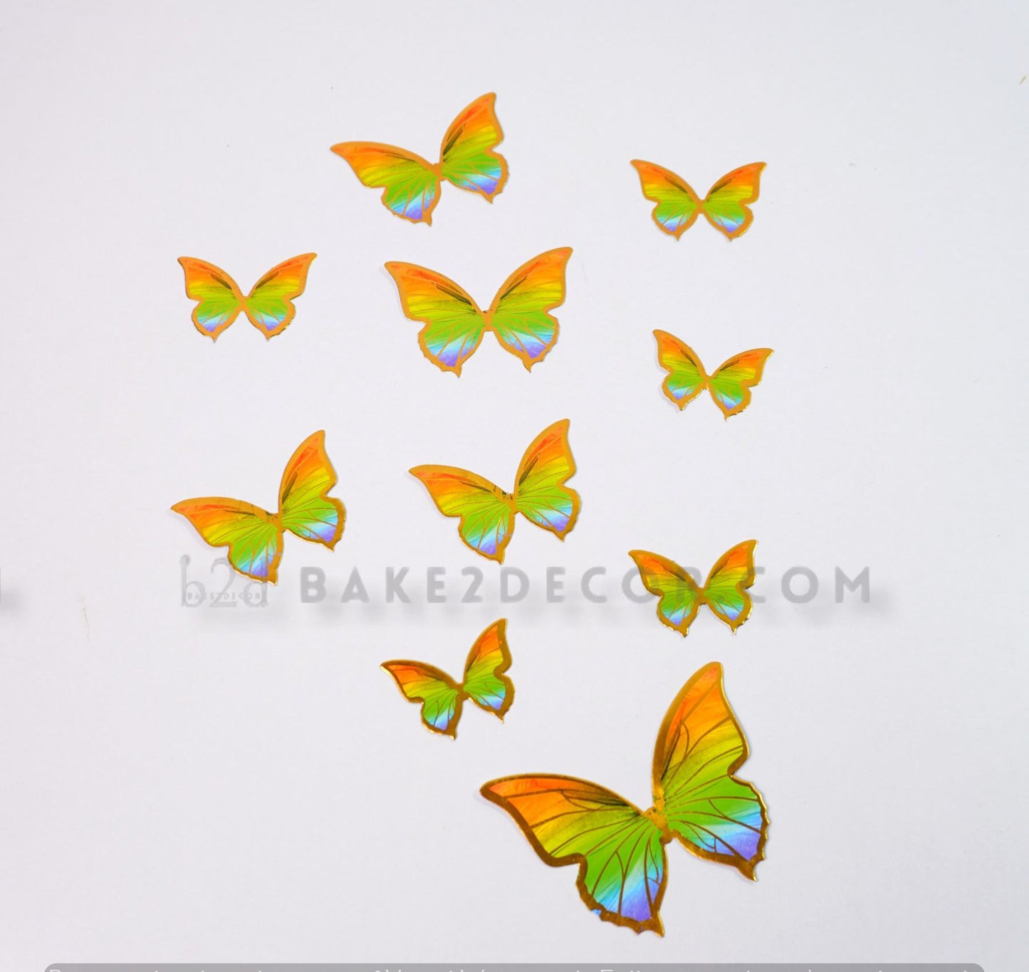 Rainbow Color Paper Butterfly ( 10 Pcs Set)