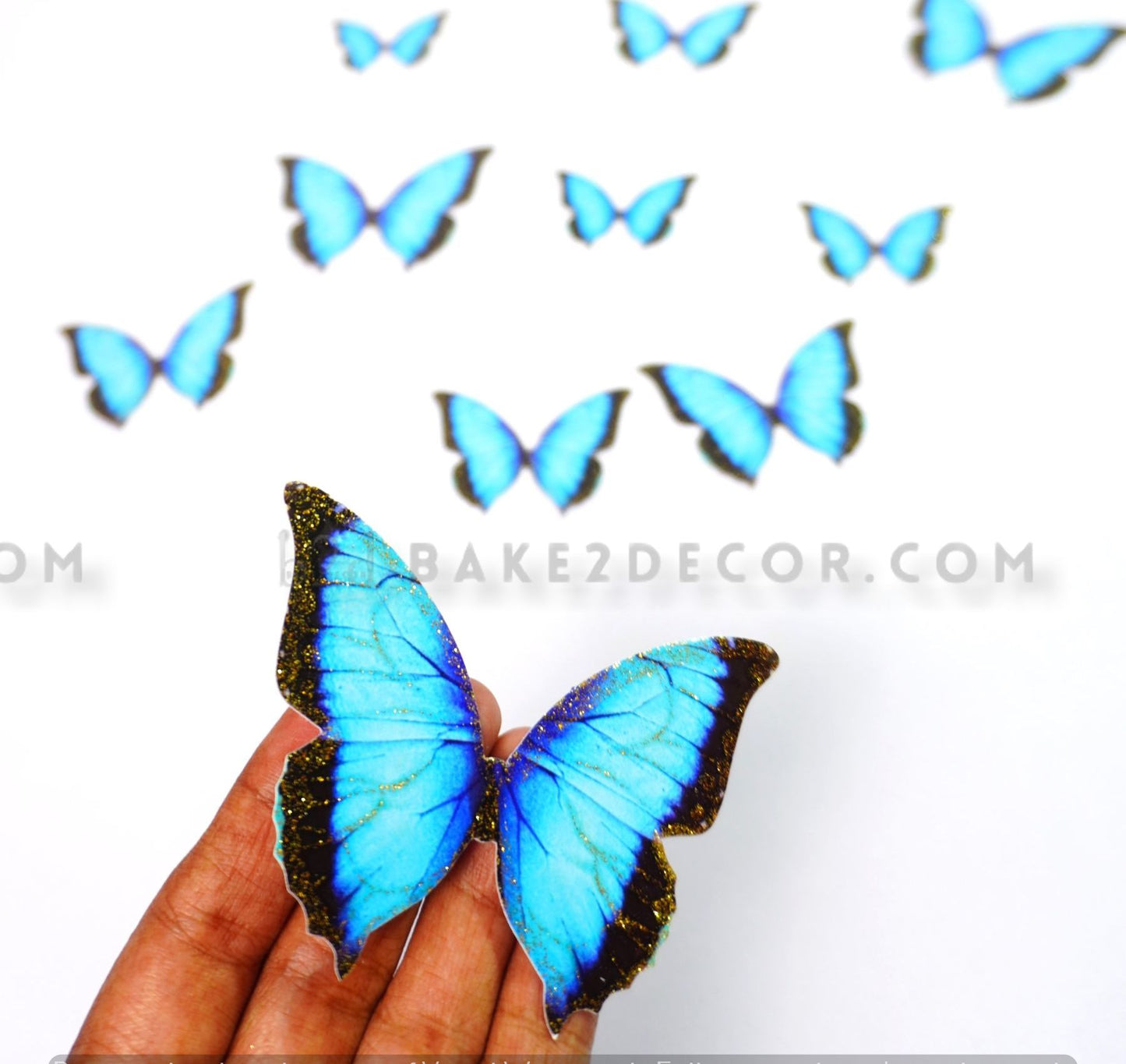 Blue Butterfly ( 10 Pcs Set)