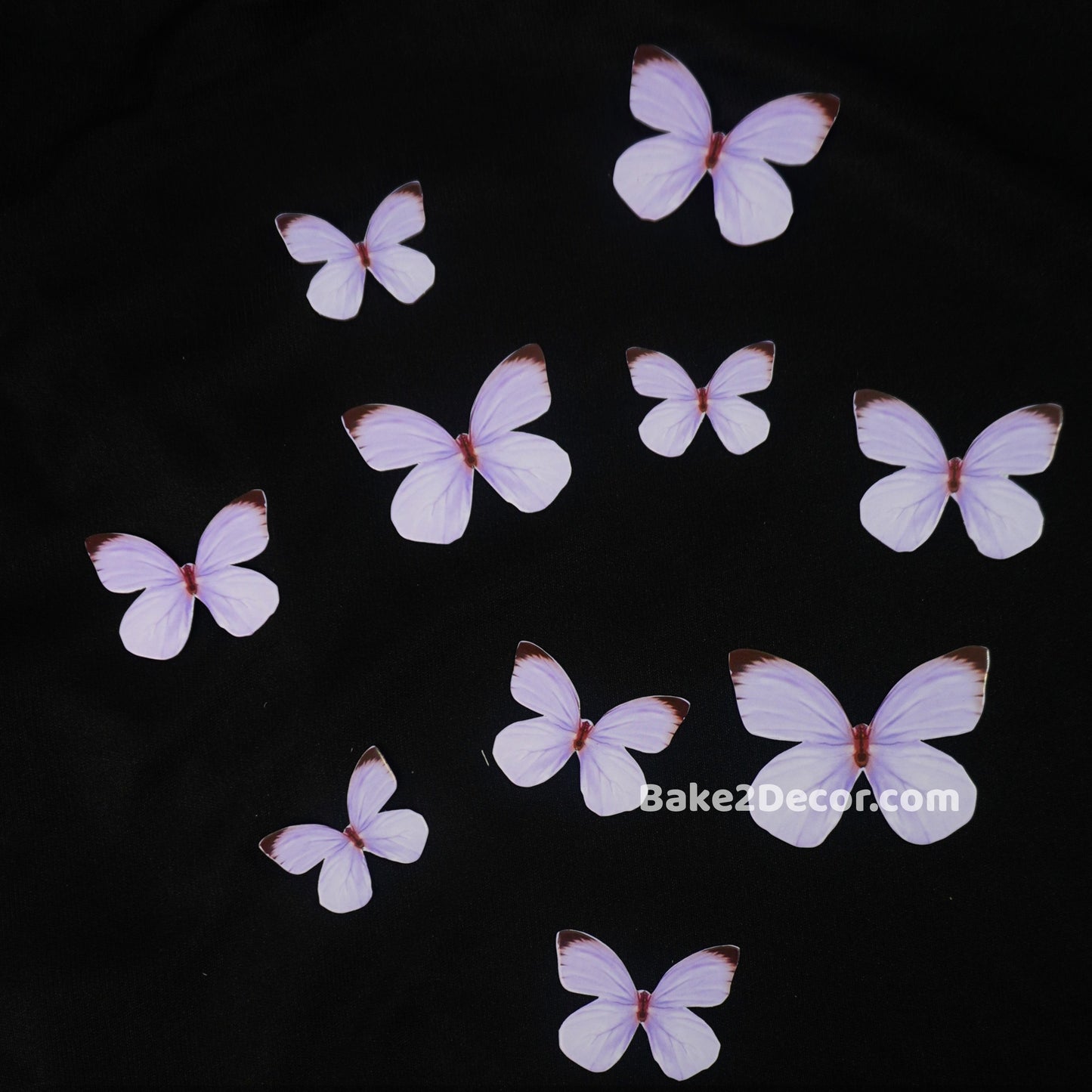 Pastel Butterfly- Purple