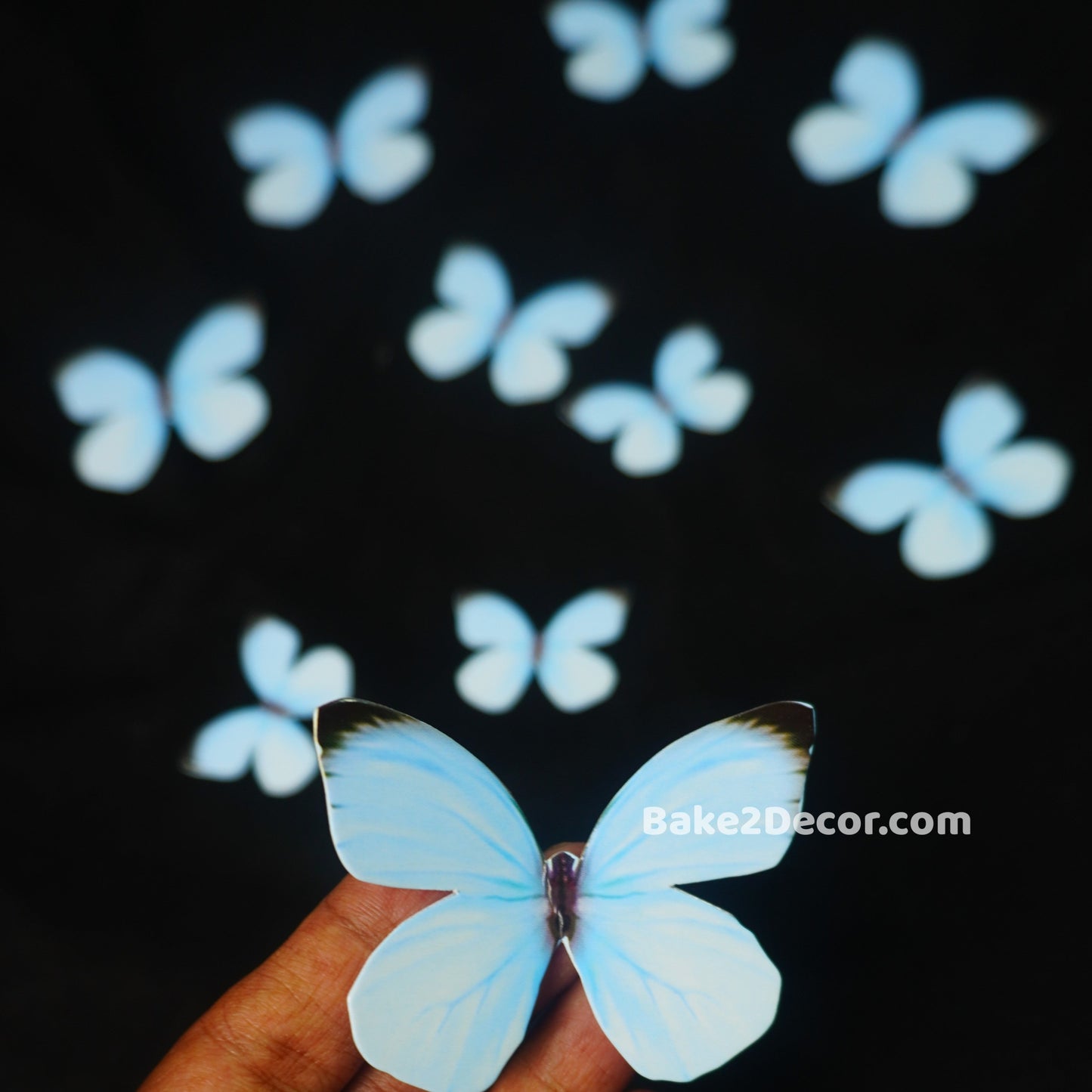 Pastel Butterfly - Blue