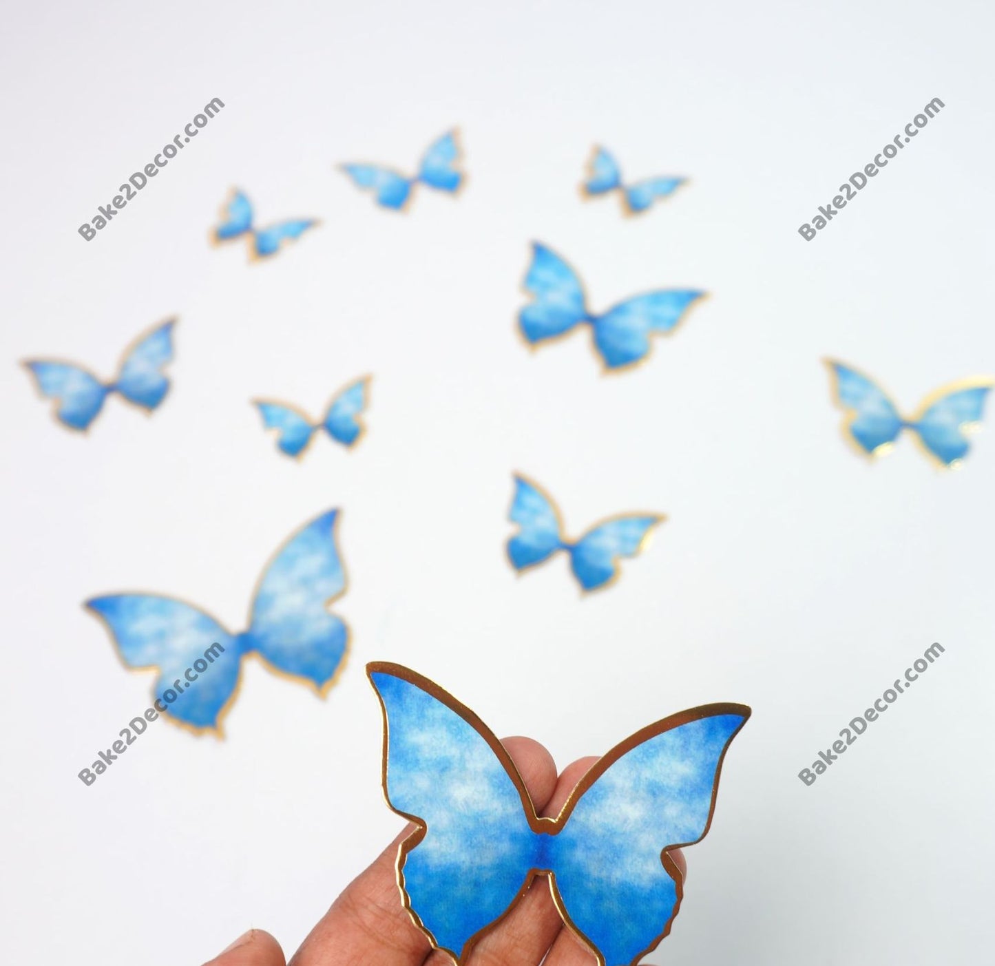 Paper Butterfly (10 Pcs Set)