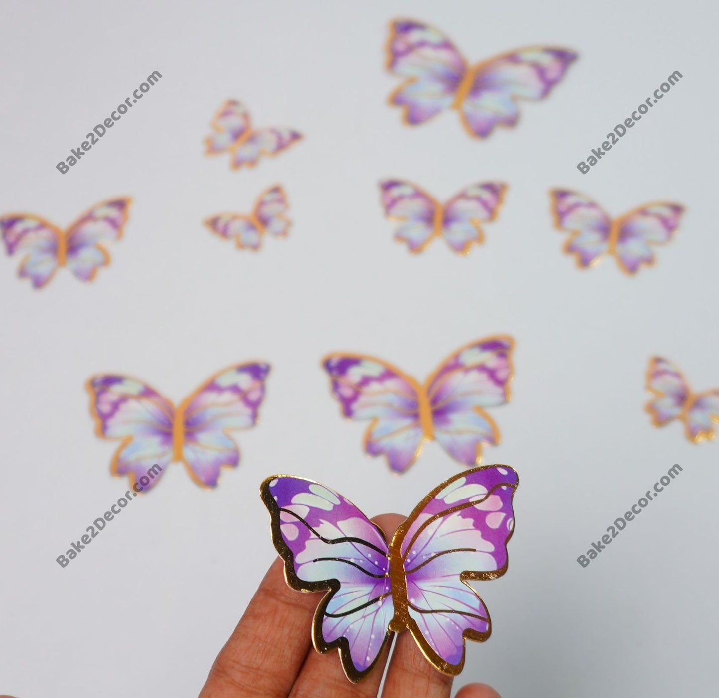 Paper Butterfly (10 Pcs Set)