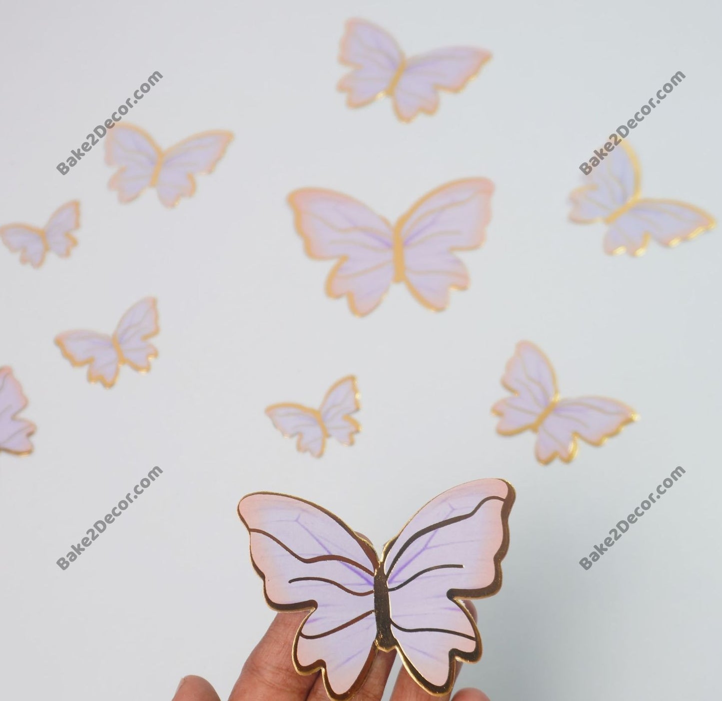 Paper Butterfly (10 Pcs Set)