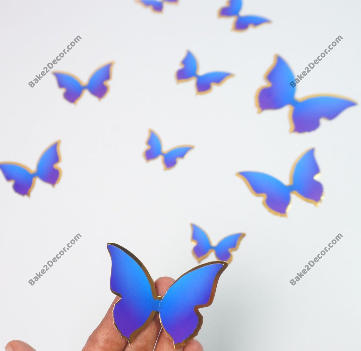 Paper Butterfly ( 10 Pcs Set)