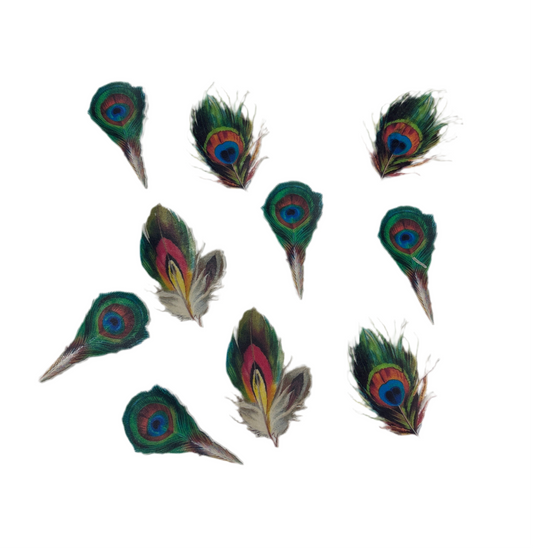 Edible Peacock Feather Topper EB23