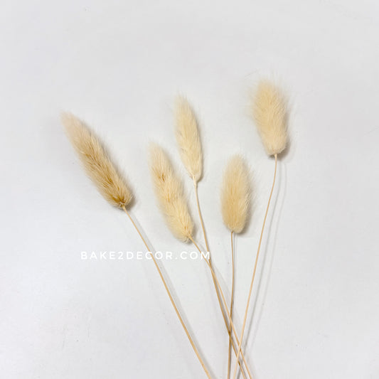 Bunny Tails Off-White ( Set of 5Pcs)