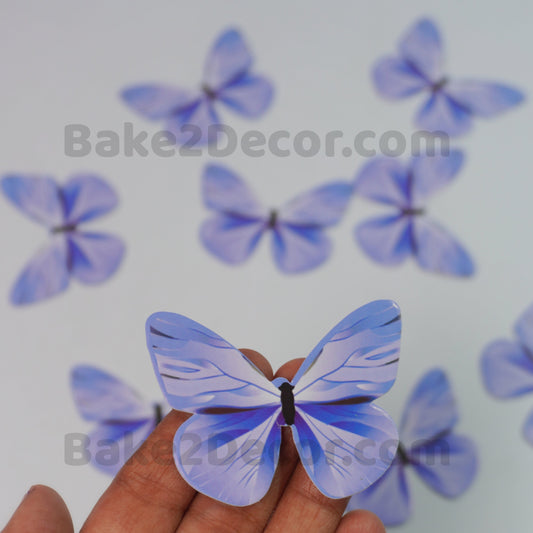 Paper Butterfly  ( 10 Pcs Set)