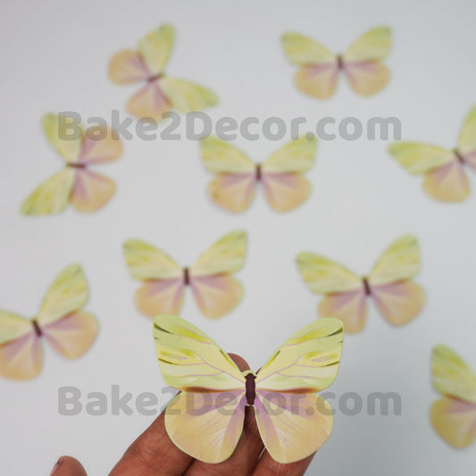 Paper Butterfly  ( 10 Pcs Set)