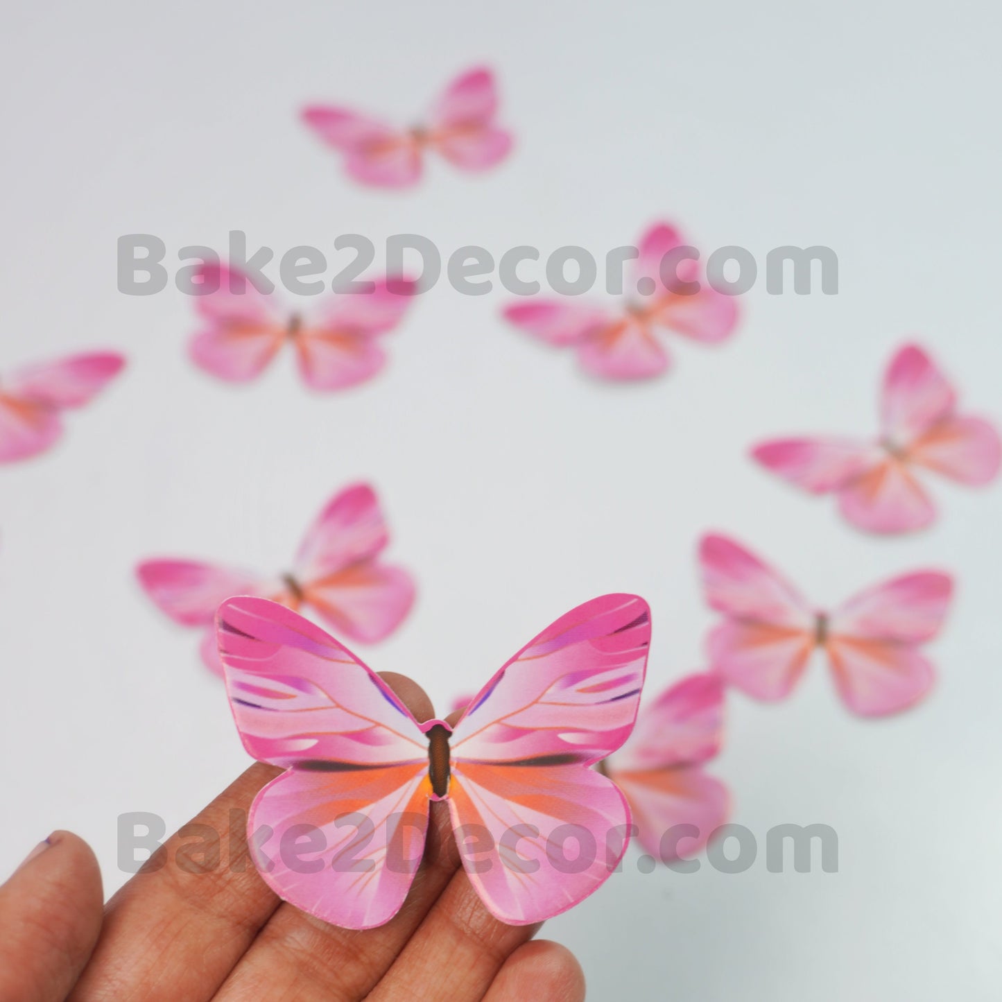 Paper Butterfly  ( 10 Pcs Set)