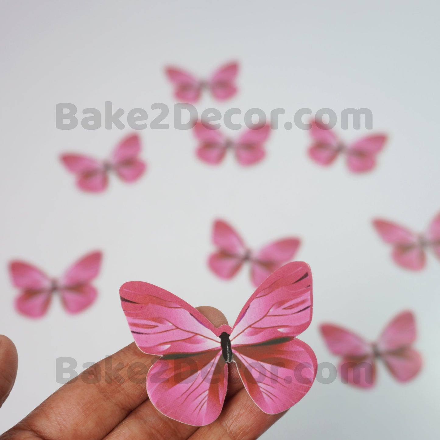 Paper Butterfly  ( 10 Pcs Set)