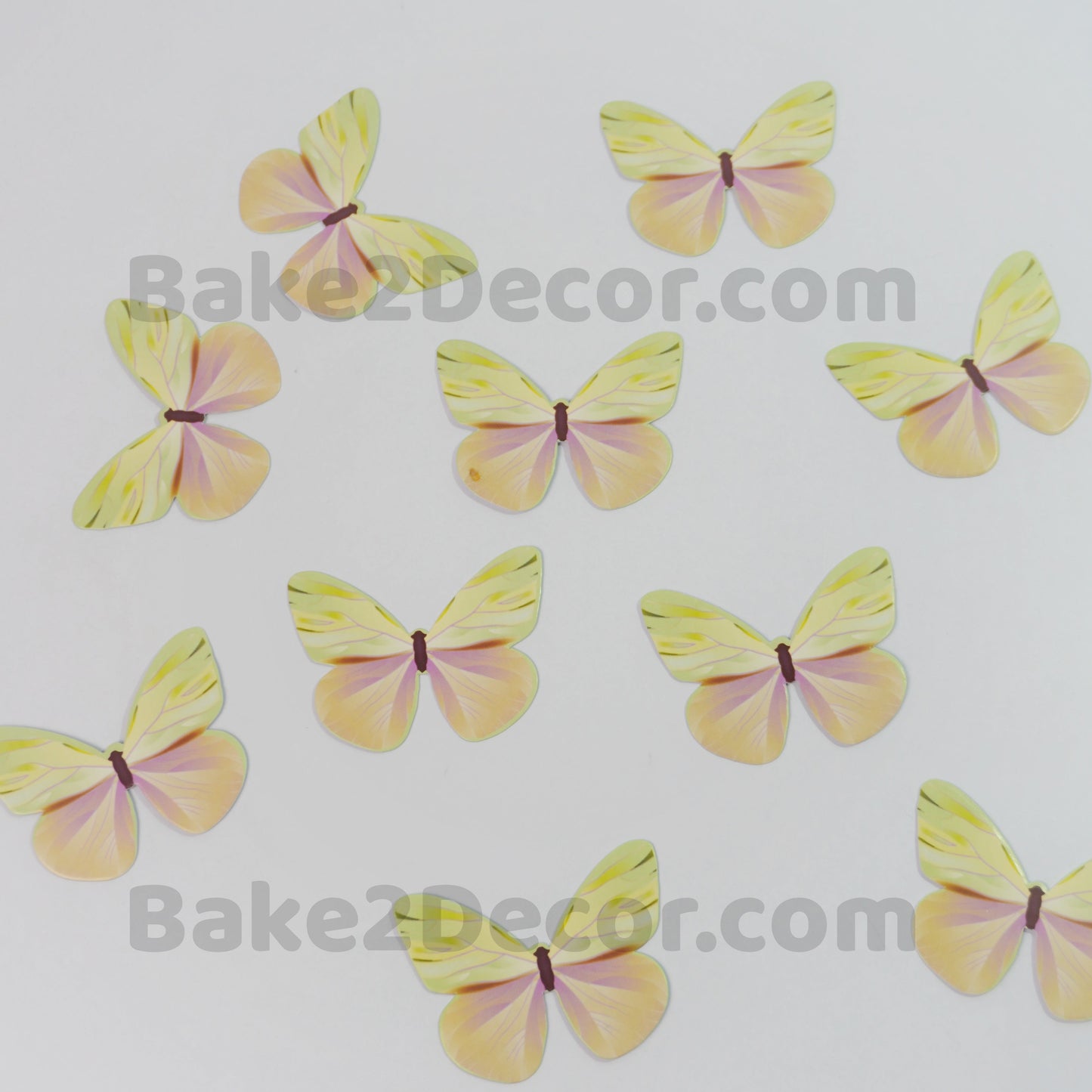 Paper Butterfly  ( 10 Pcs Set)