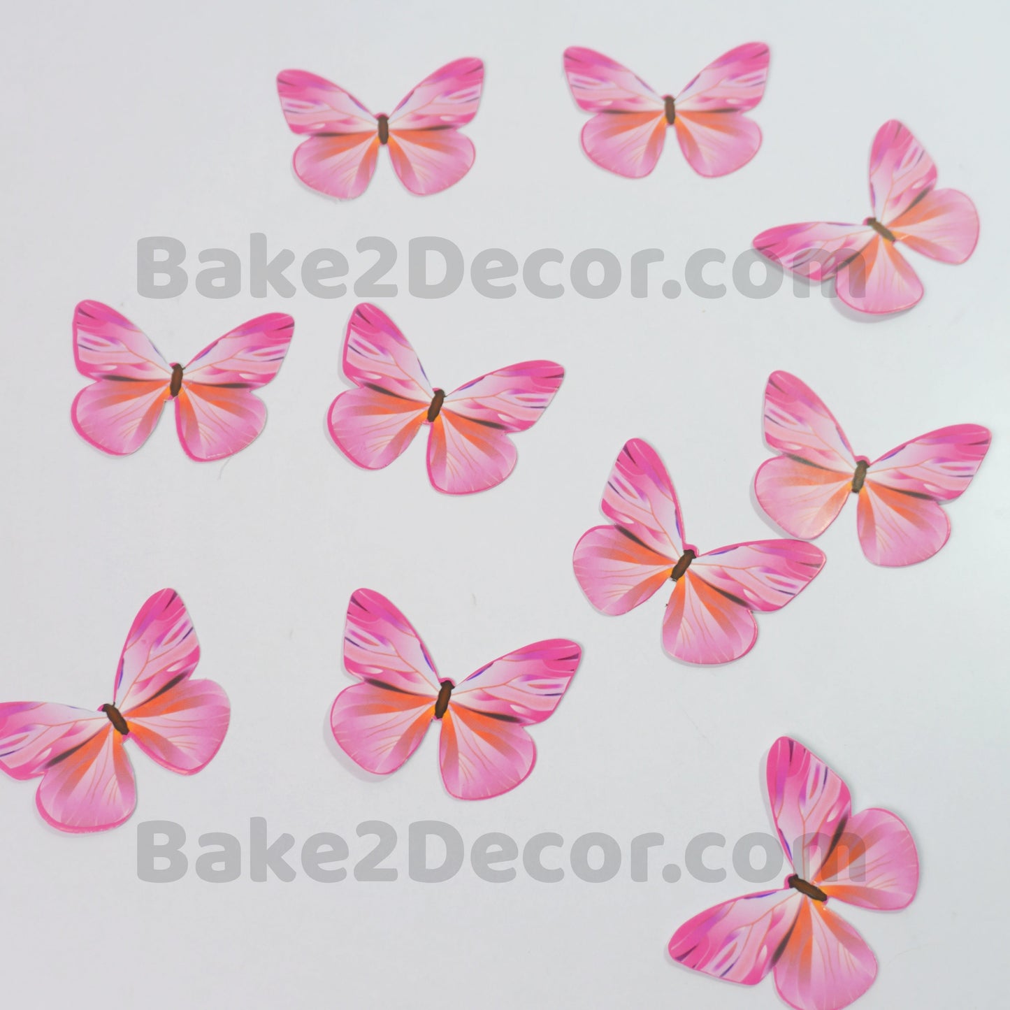 Paper Butterfly  ( 10 Pcs Set)