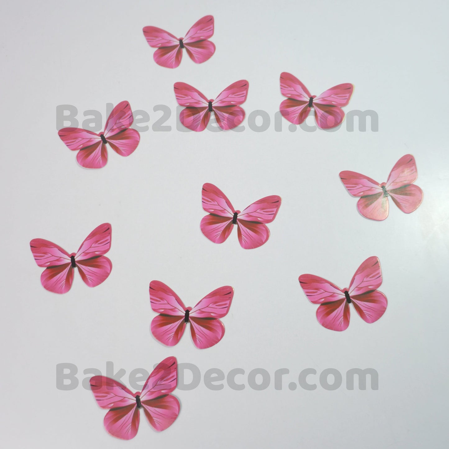 Paper Butterfly  ( 10 Pcs Set)