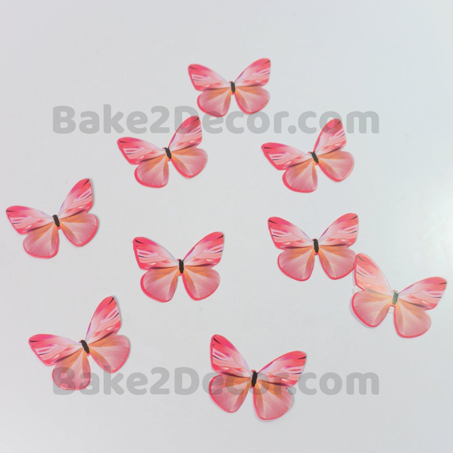 Paper Butterfly  ( 10 Pcs Set)