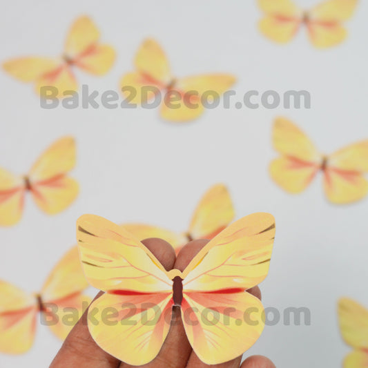 Paper Butterfly  ( 10 Pcs Set)