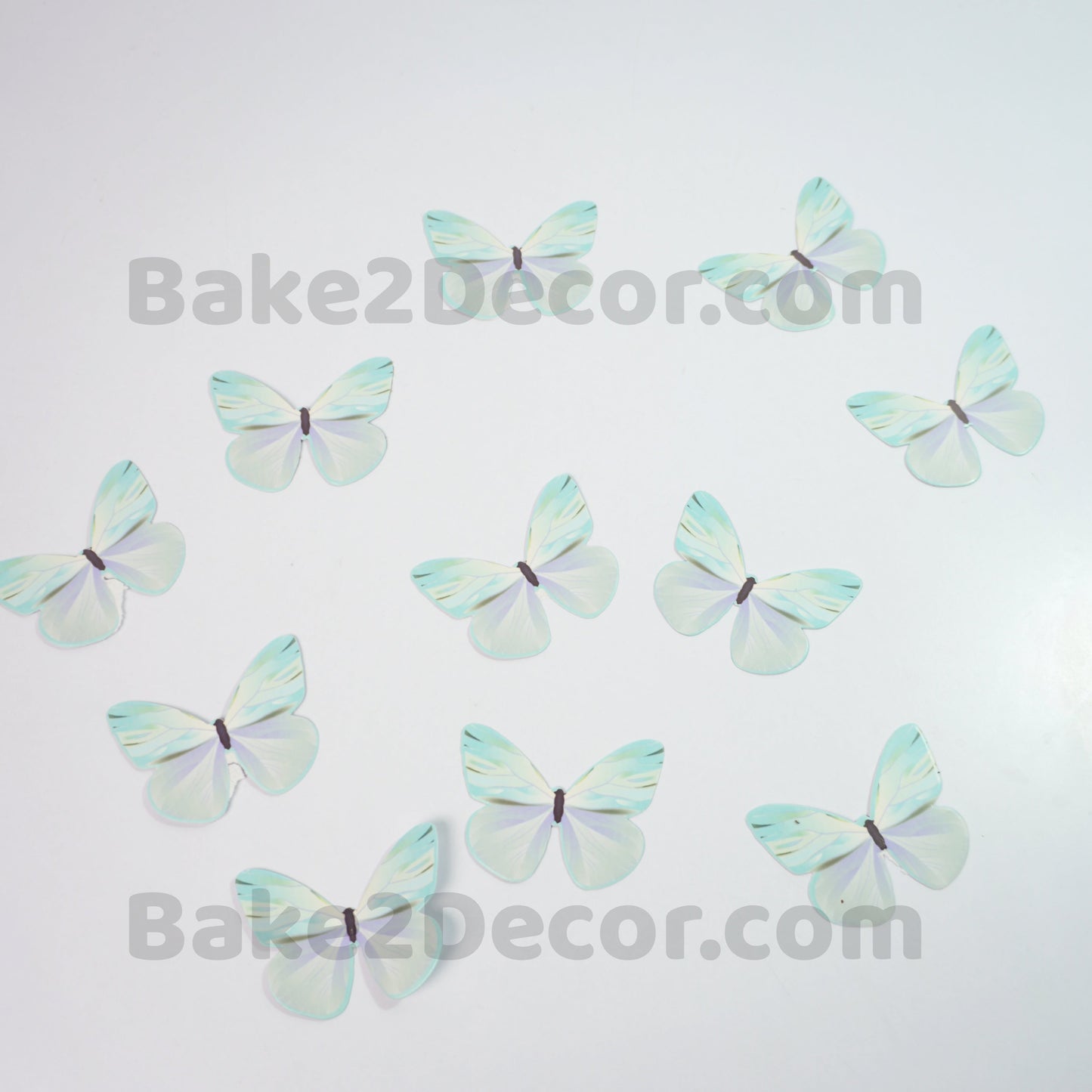 Paper Butterfly  ( 10 Pcs Set)