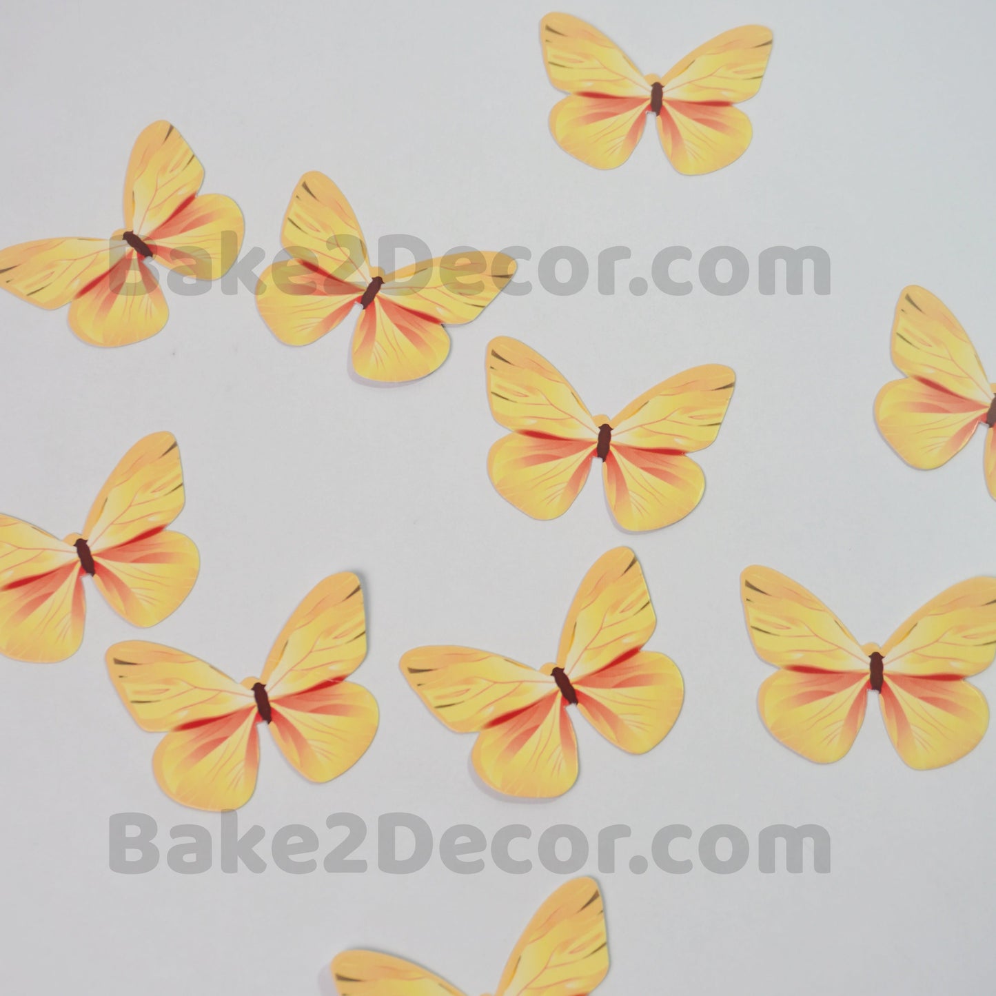 Paper Butterfly  ( 10 Pcs Set)