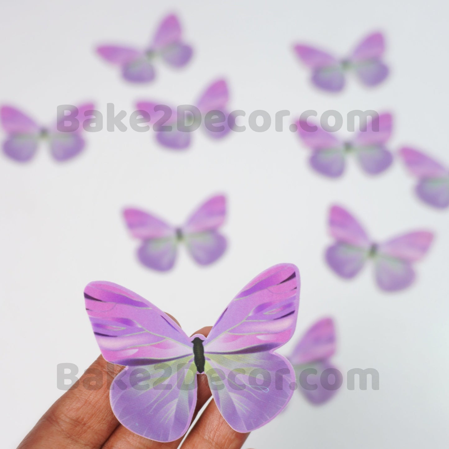 Paper Butterfly  10 Pcs Set)