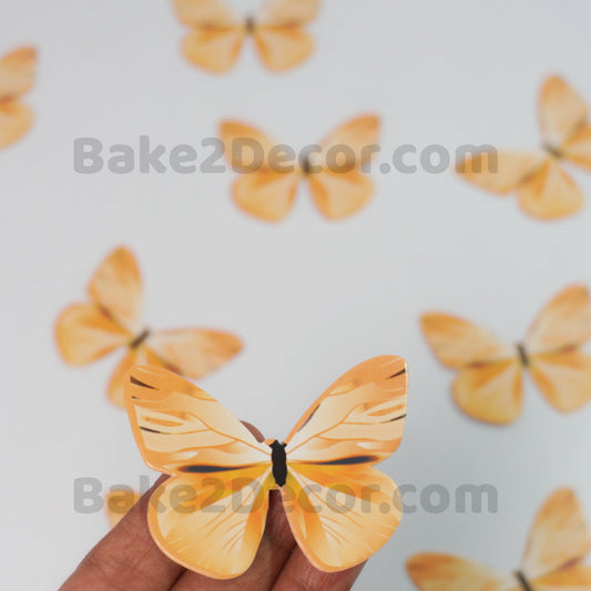 Paper Butterfly ( 10 Pcs Set)