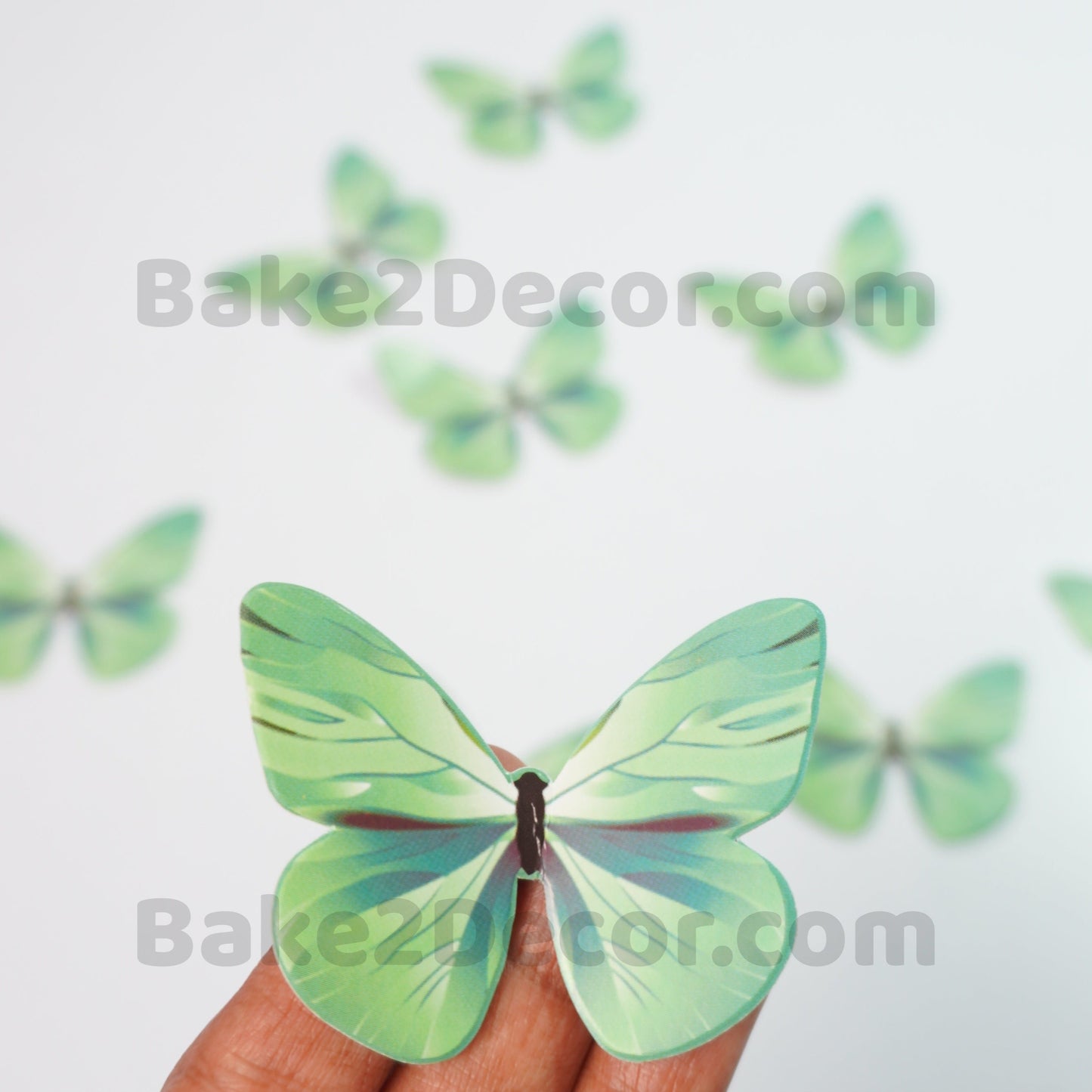 Paper Butterfly Light Green ( 10 Pcs Set)