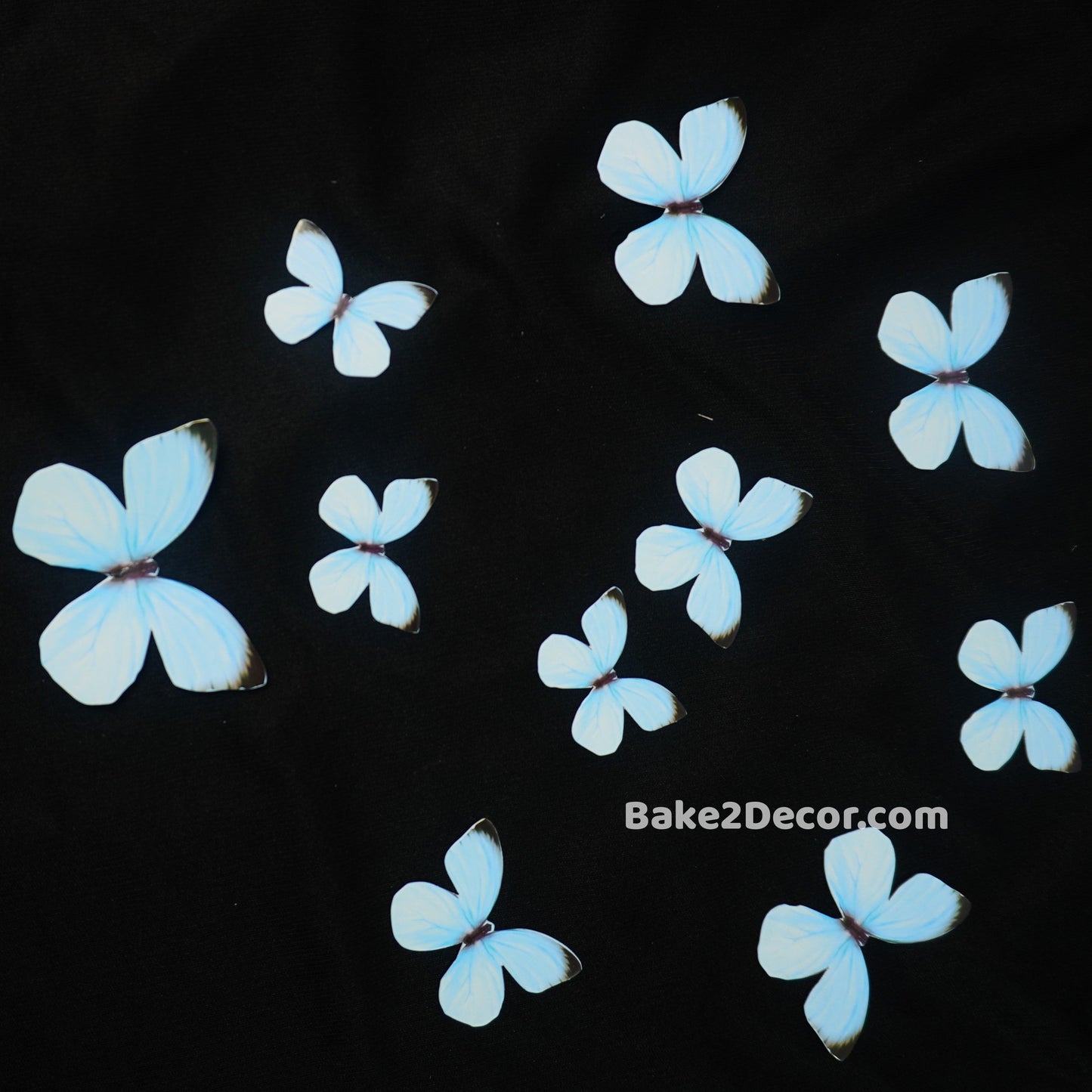 Pastel Butterfly - Blue