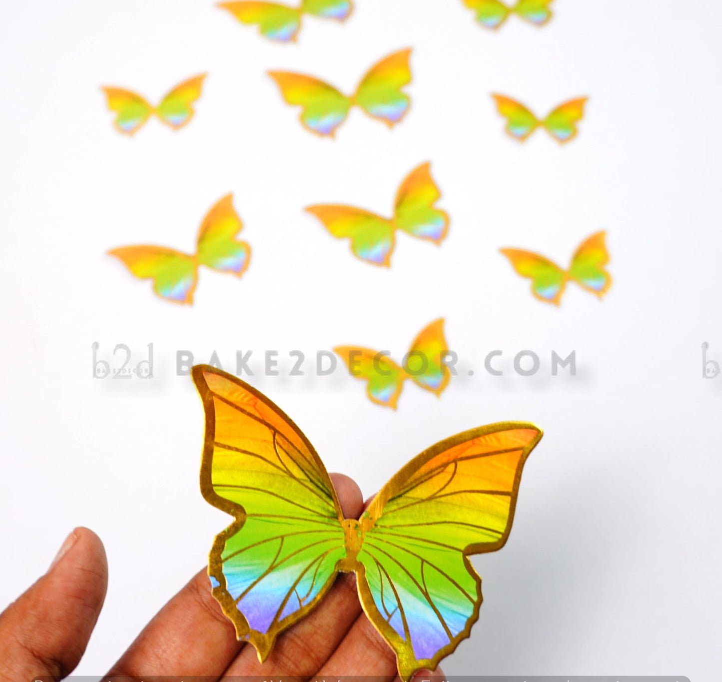 Rainbow Color Paper Butterfly ( 10 Pcs Set)