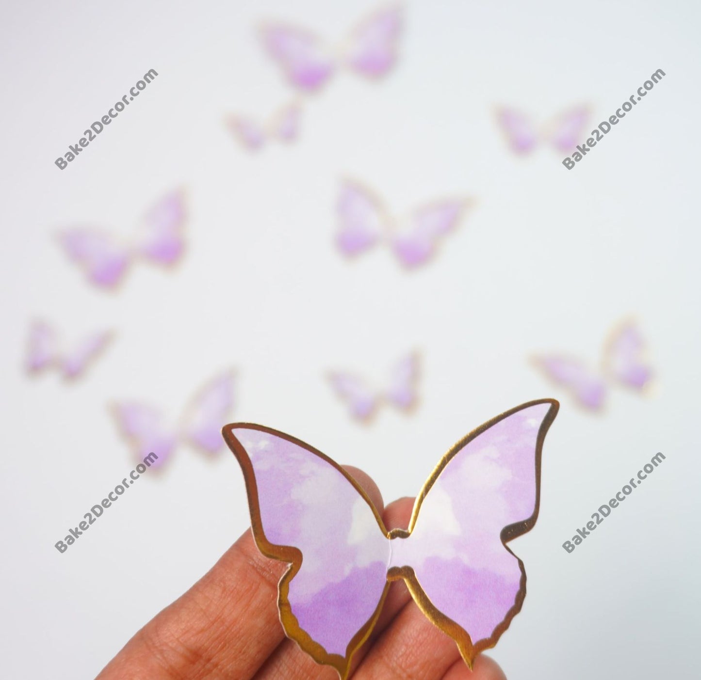 Paper Butterfly ( 10 Pcs Set)