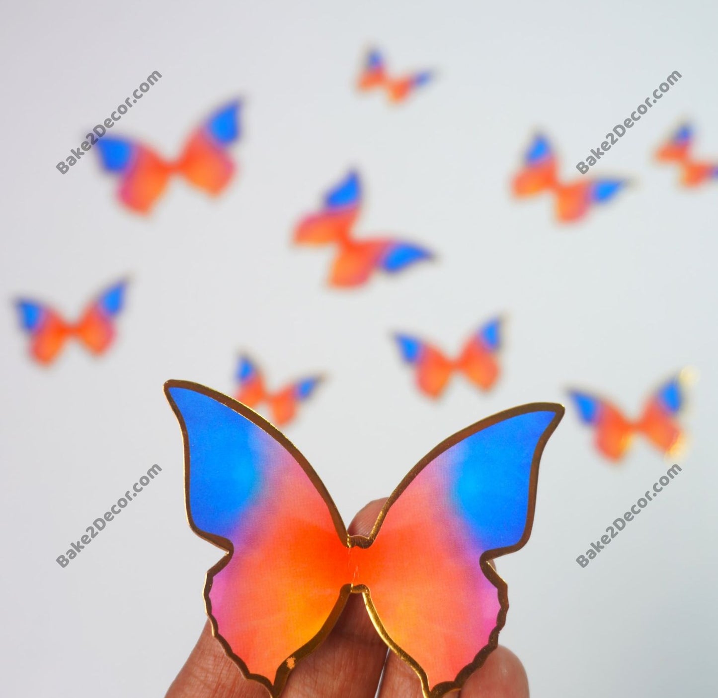 Paper Butterfly ( 10 Pcs Set)