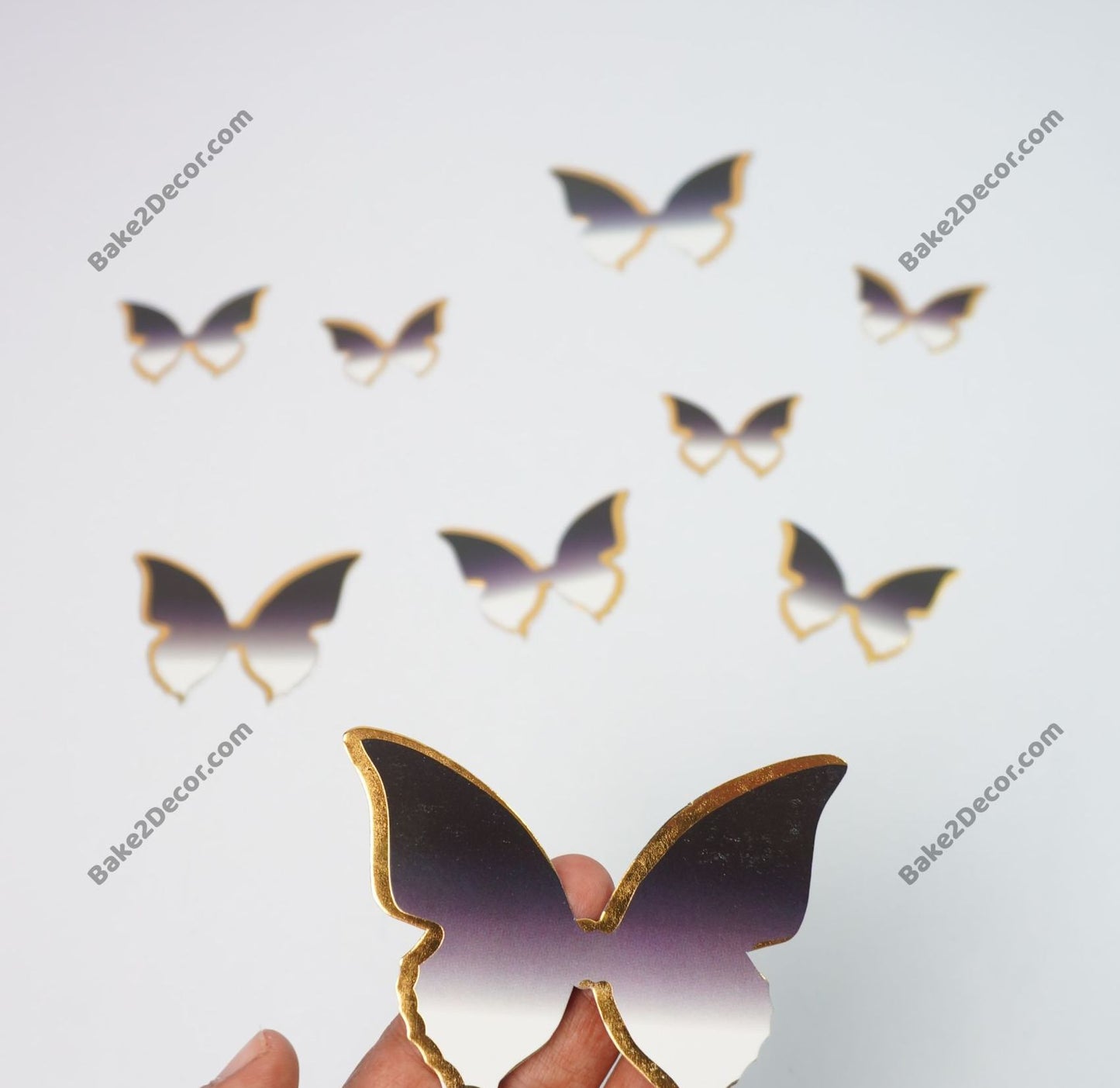 Paper Butterfly (10 Pcs Set)