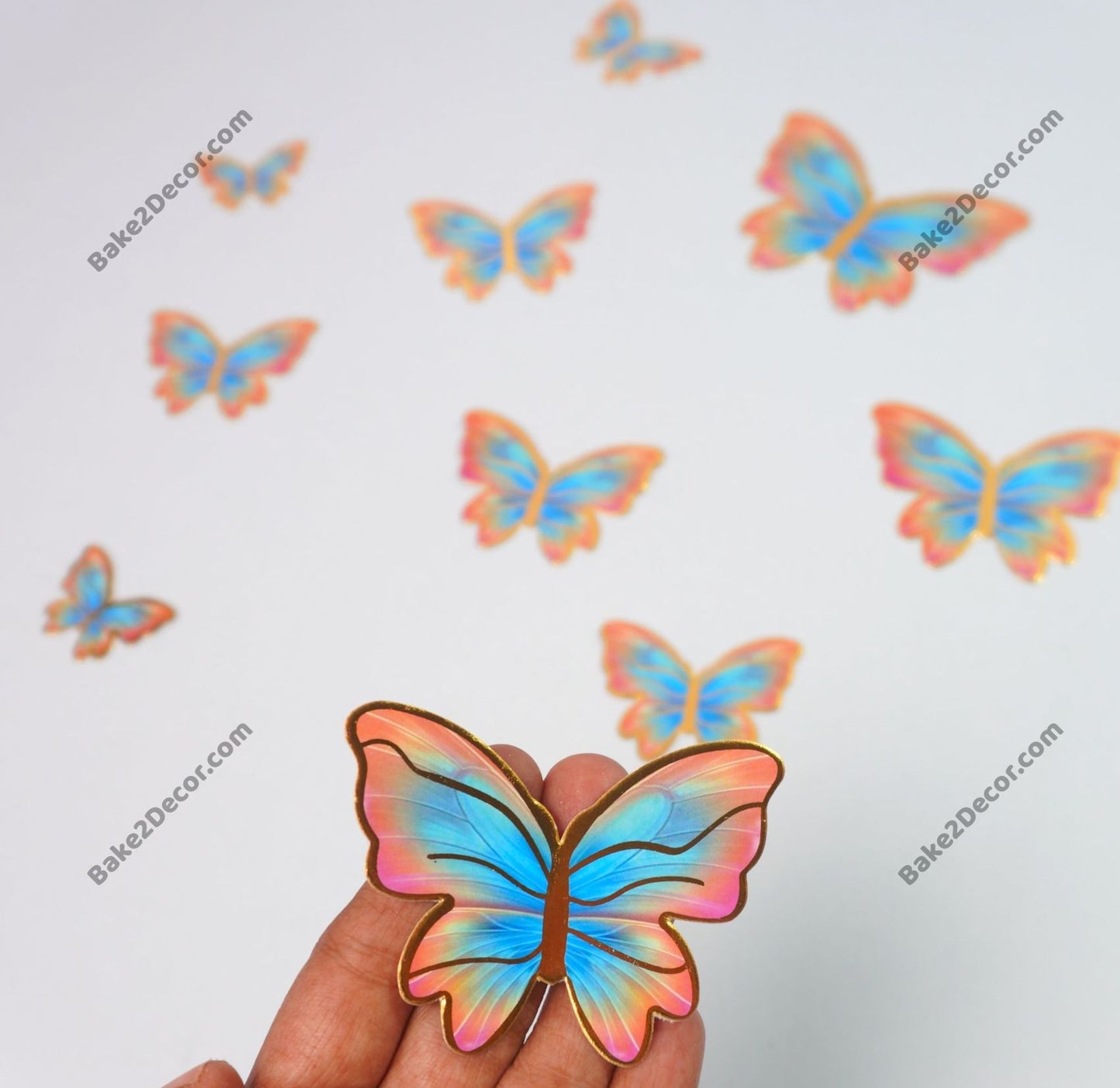 Paper Butterfly (10 Pcs Set)