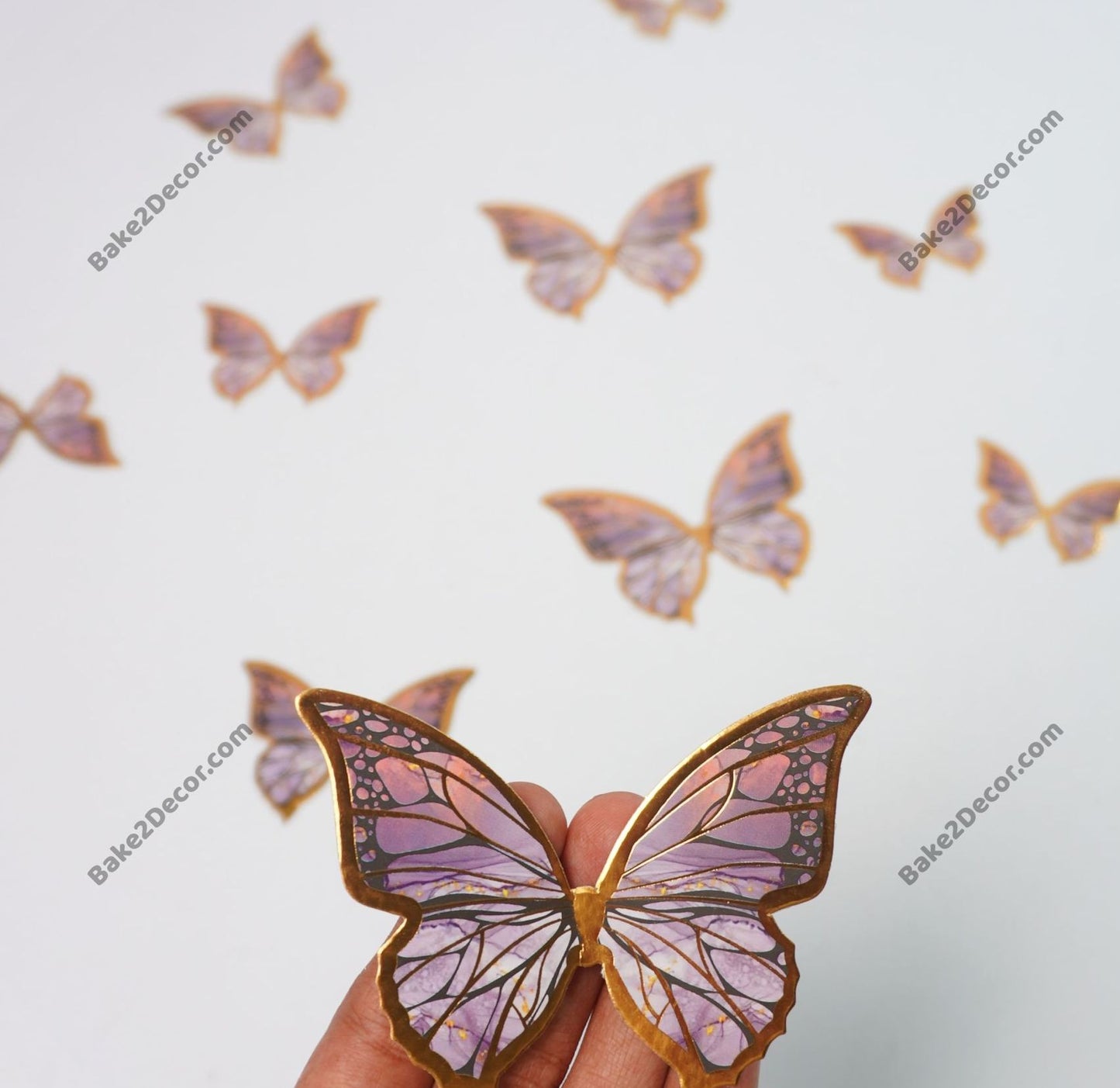 Paper Butterfly (10 Pcs Set)