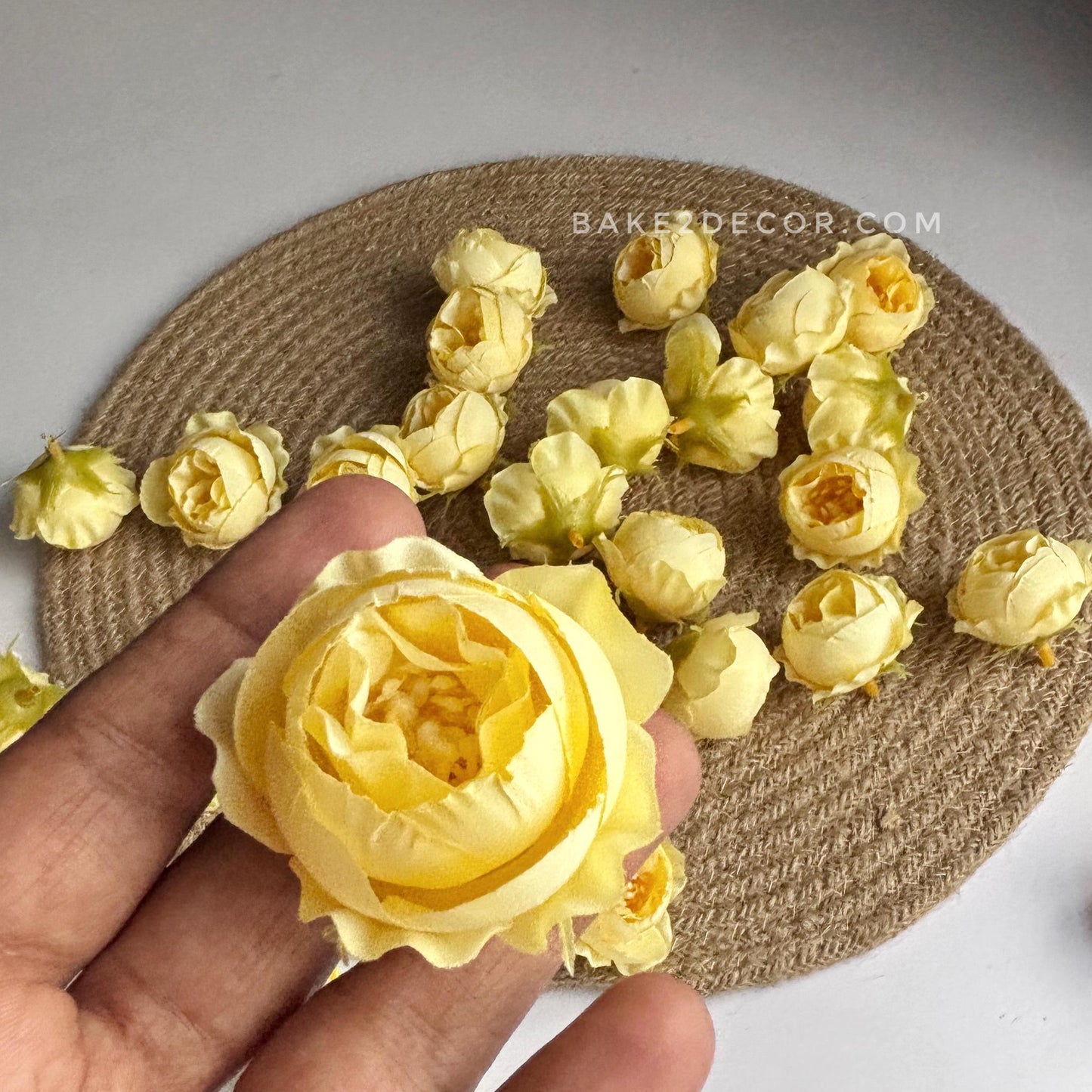 Peony - Single Pcs - PEO-06