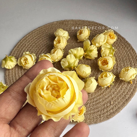 Peony - Single Pcs - PEO-06