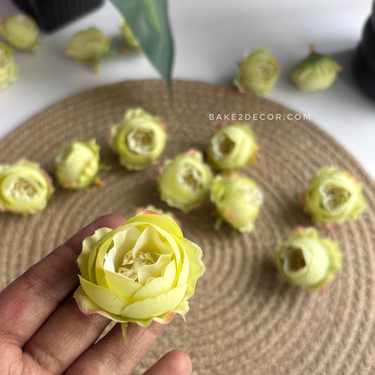 Peony  - Single Pcs - PEO-09