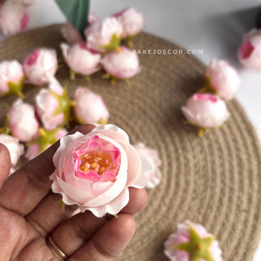 Peony  - Single Pcs - PEO-11