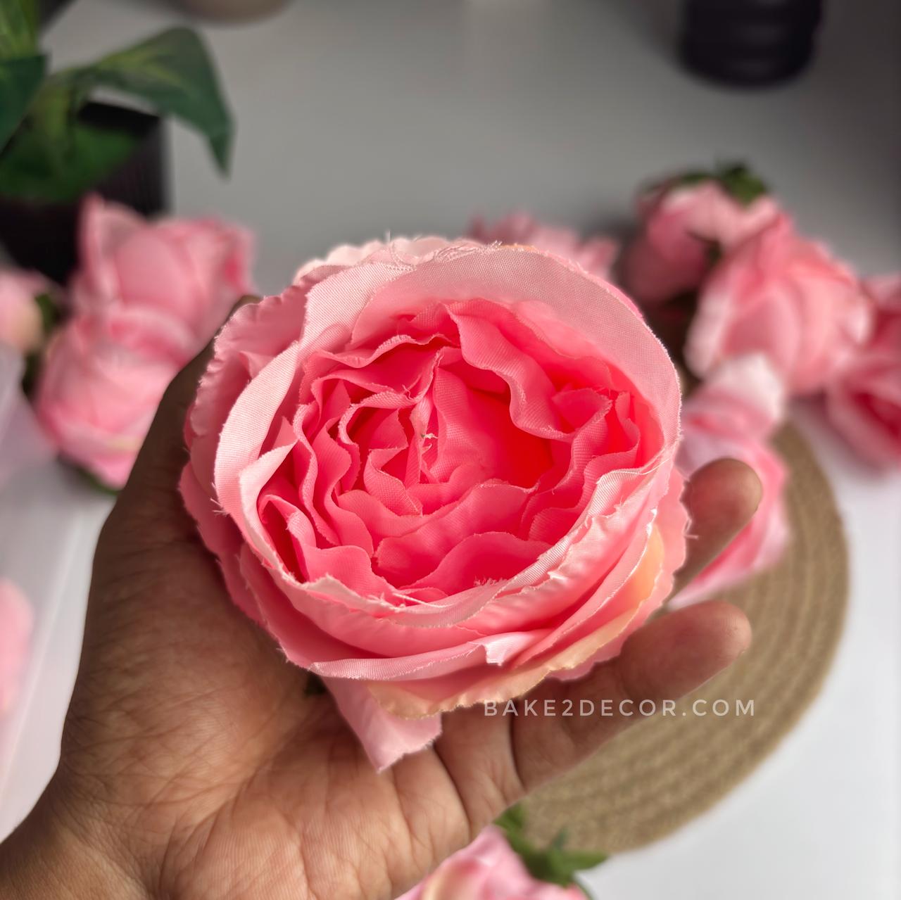 Cabbage Rose  - Single Pcs - CRS04