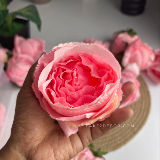 Cabbage Rose  - Single Pcs - CRS04