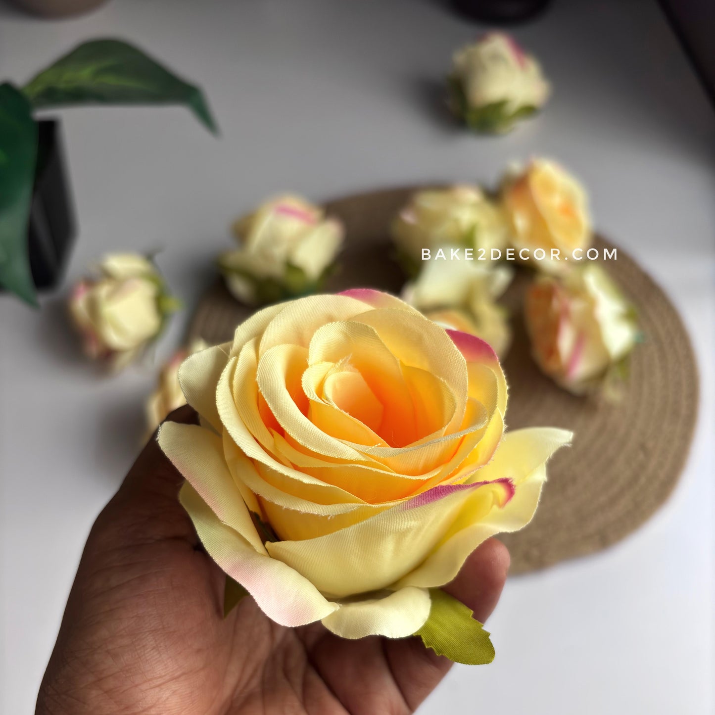 Rose  - Single Pcs - RS01